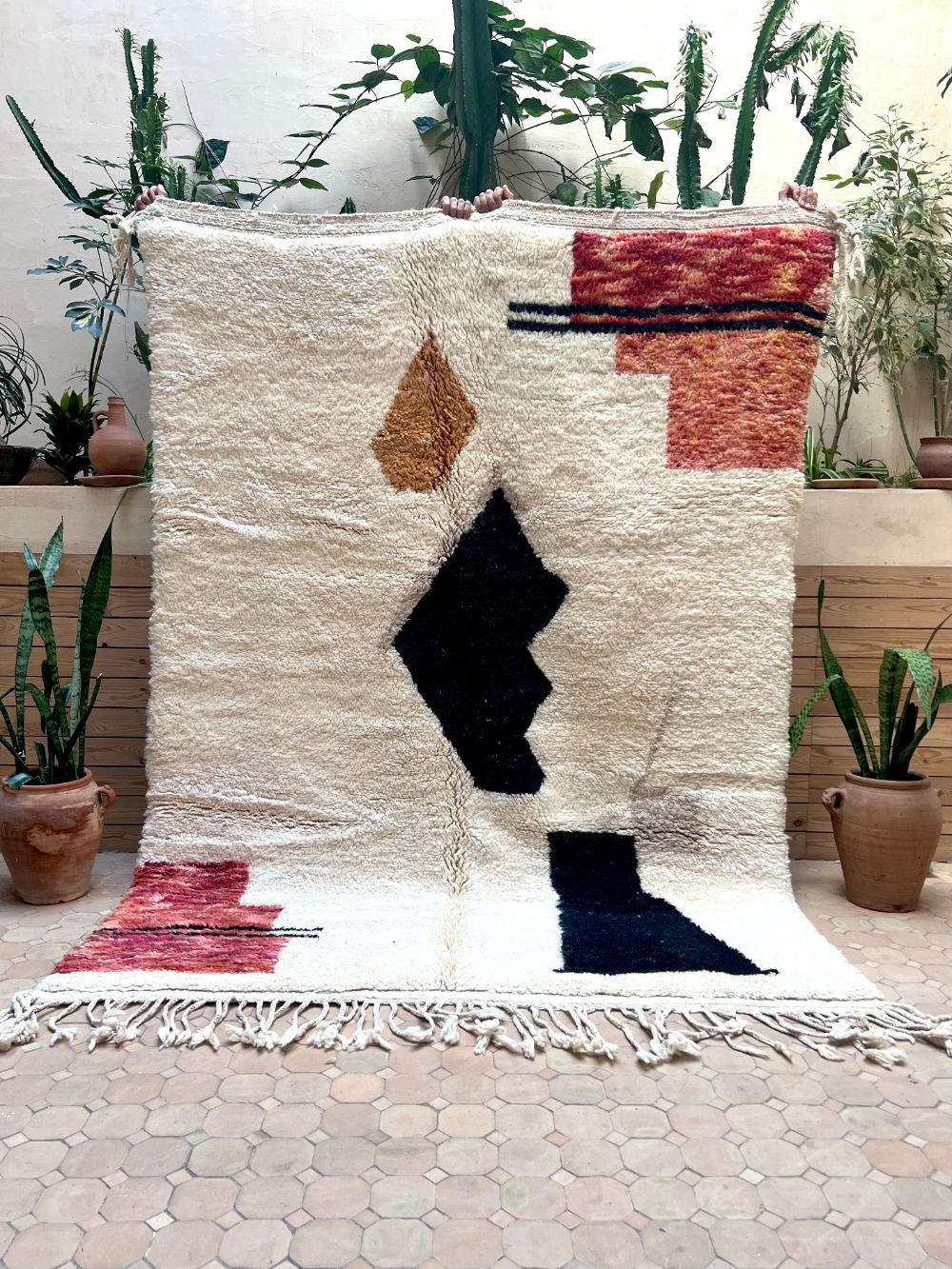 Moroccan Cat Rug 240x170cm