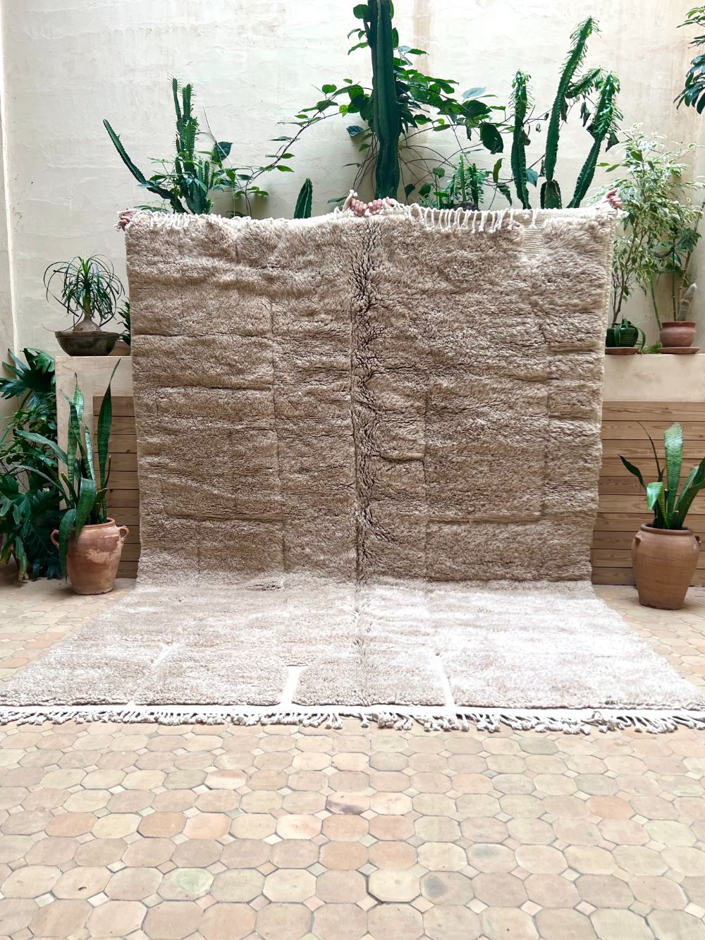 Moroccan Grey Bear Rug 305x210cm