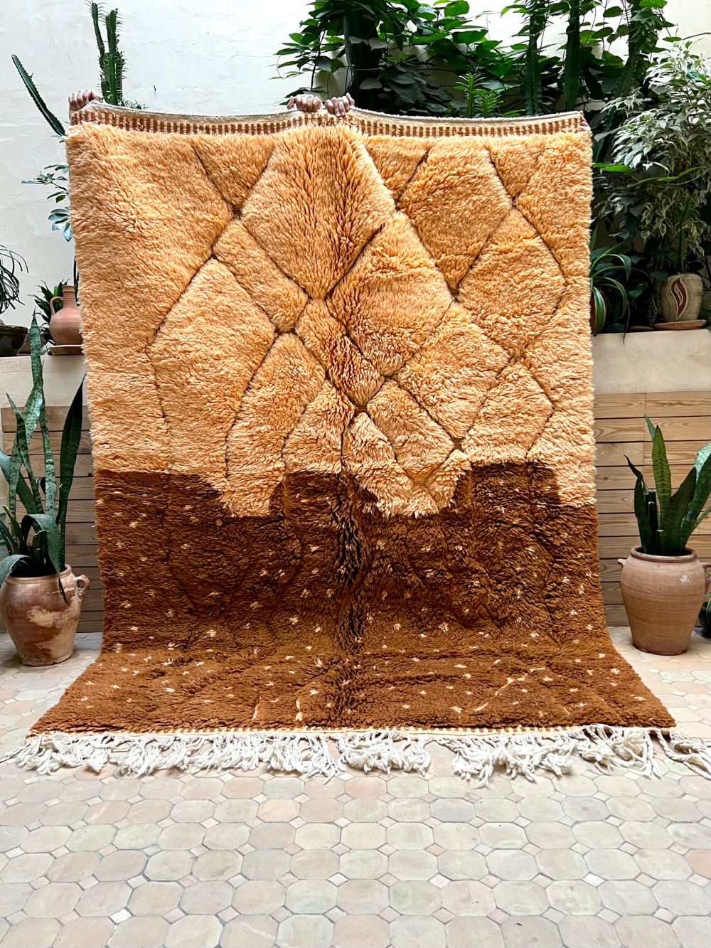Order by Size: Moroccan Honey Bear Rug