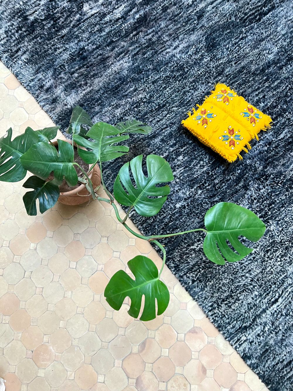 Moroccan Graphite Bear Rug 460x250cm