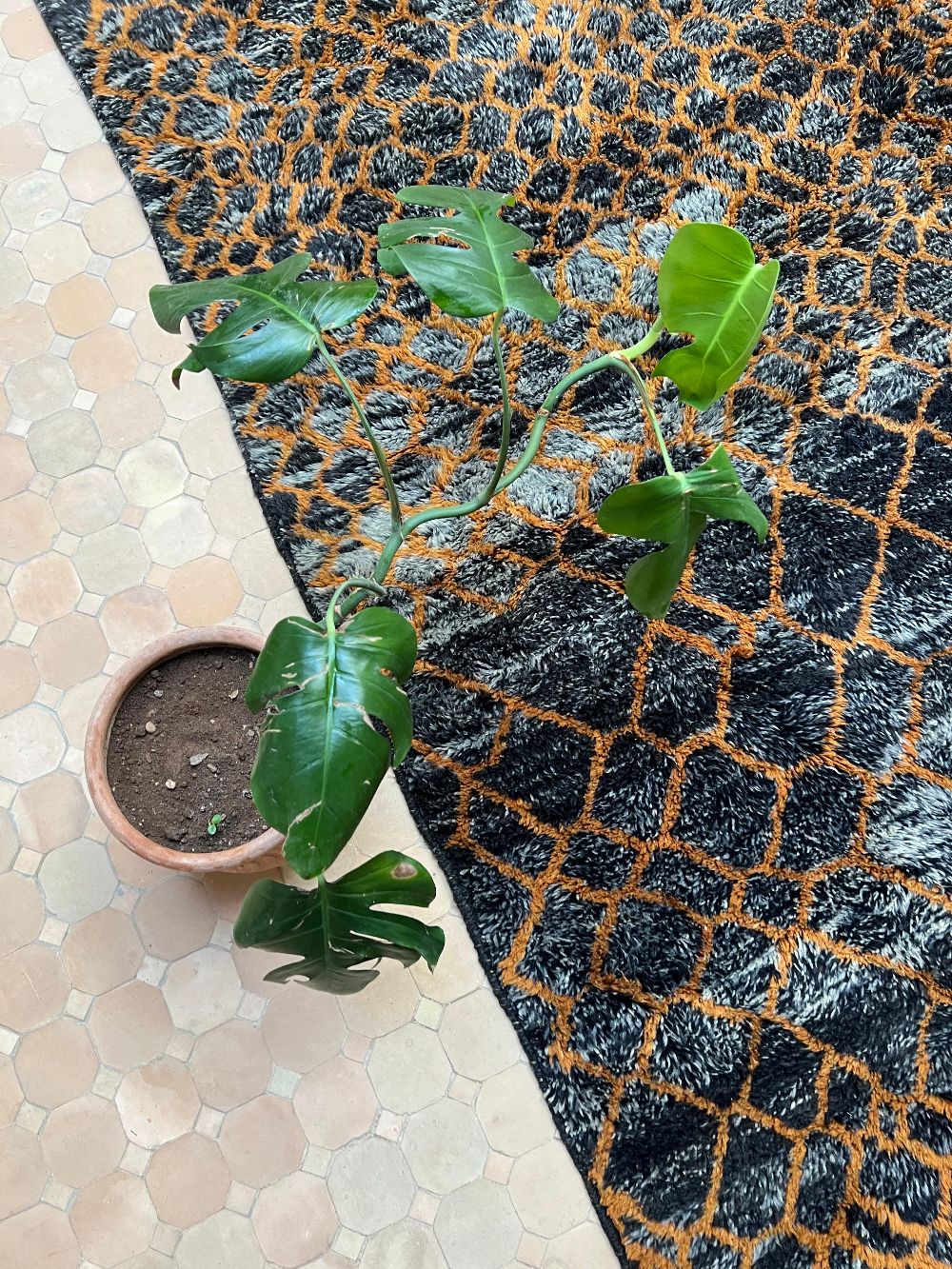 Mittatilaus haluamassasi koossa: Musta Pantteri-matto