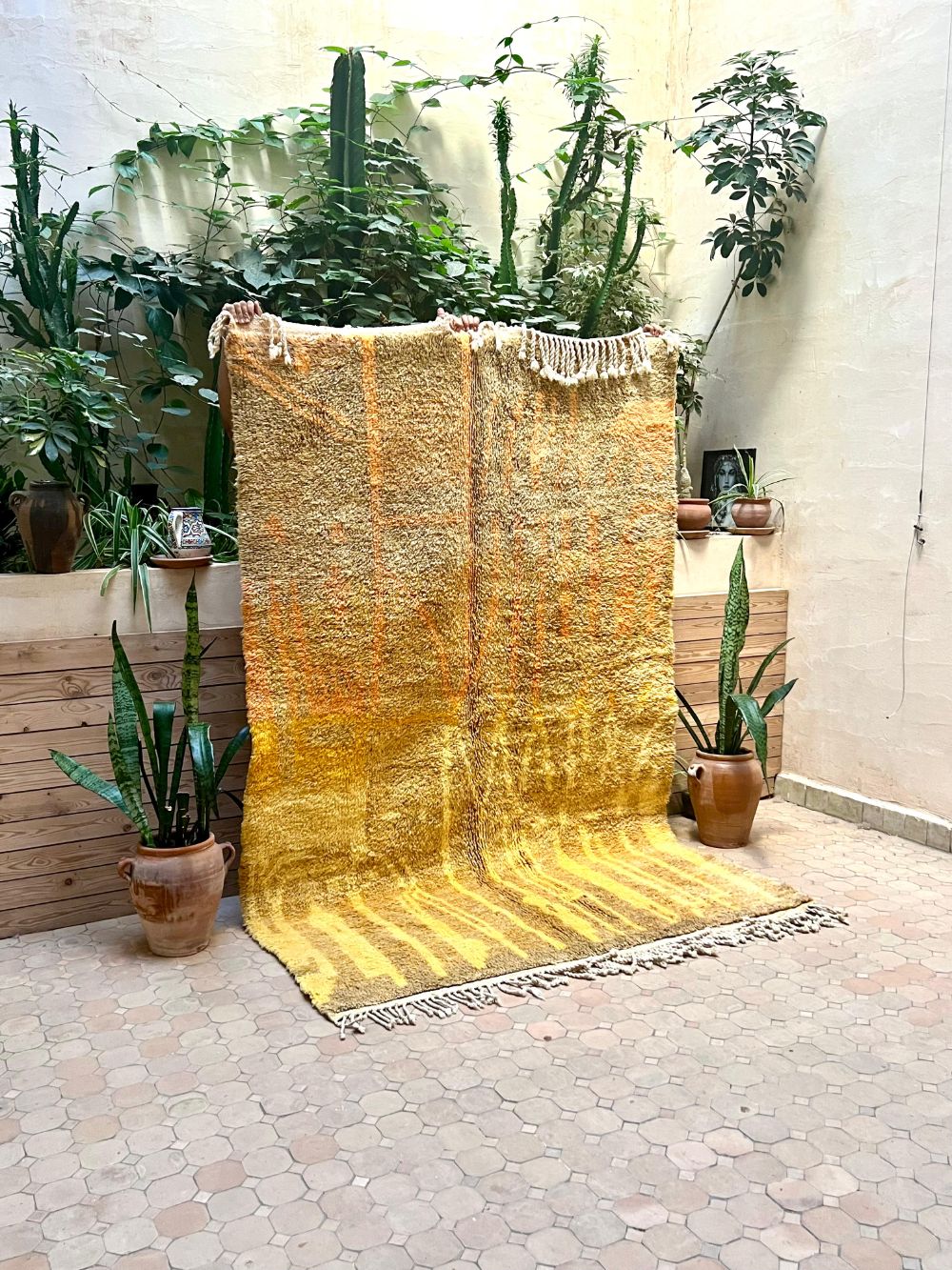 Moroccan Saghira Rug 255x165cm