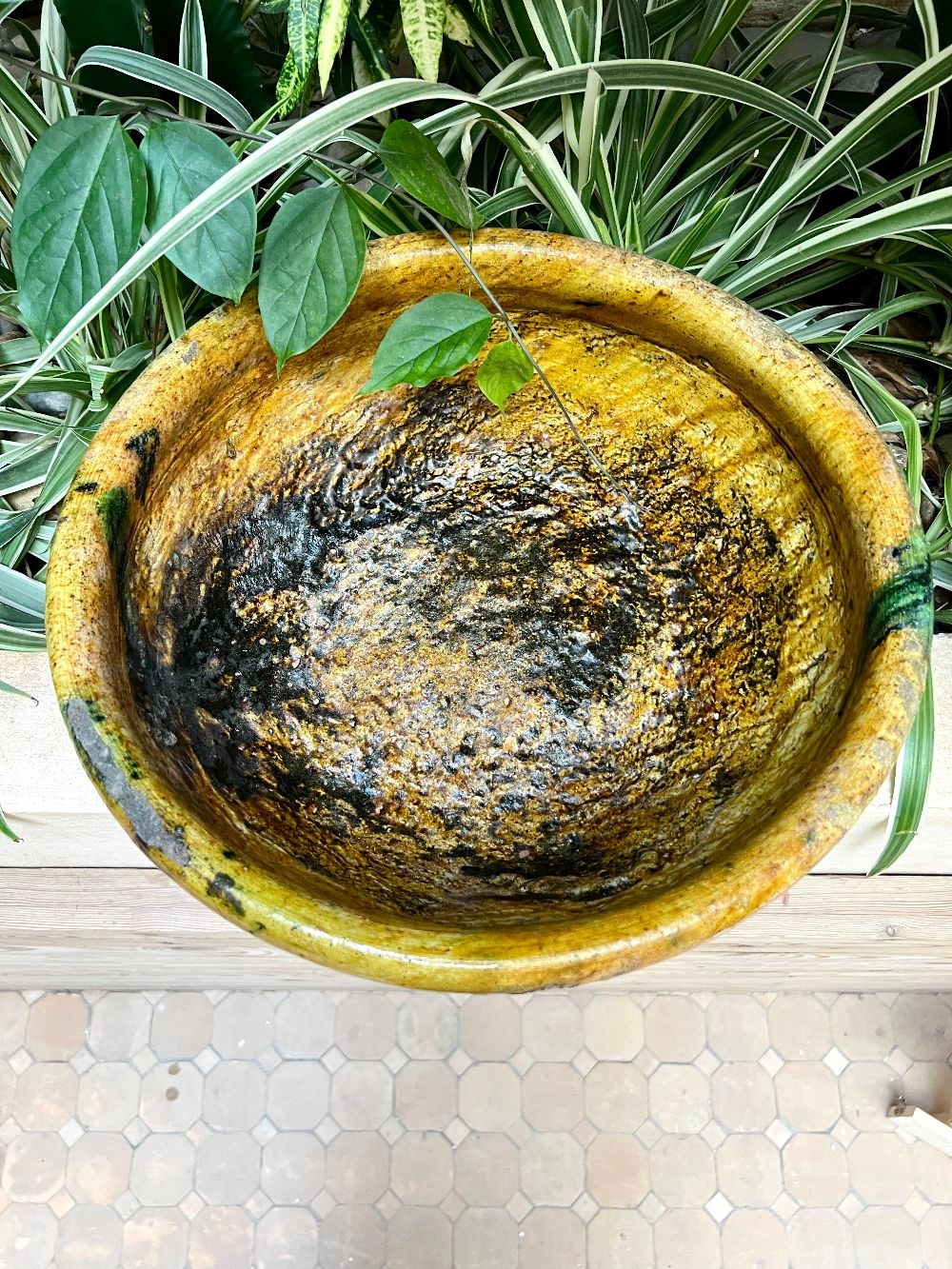 Tamegroute Keraaminen ruukku