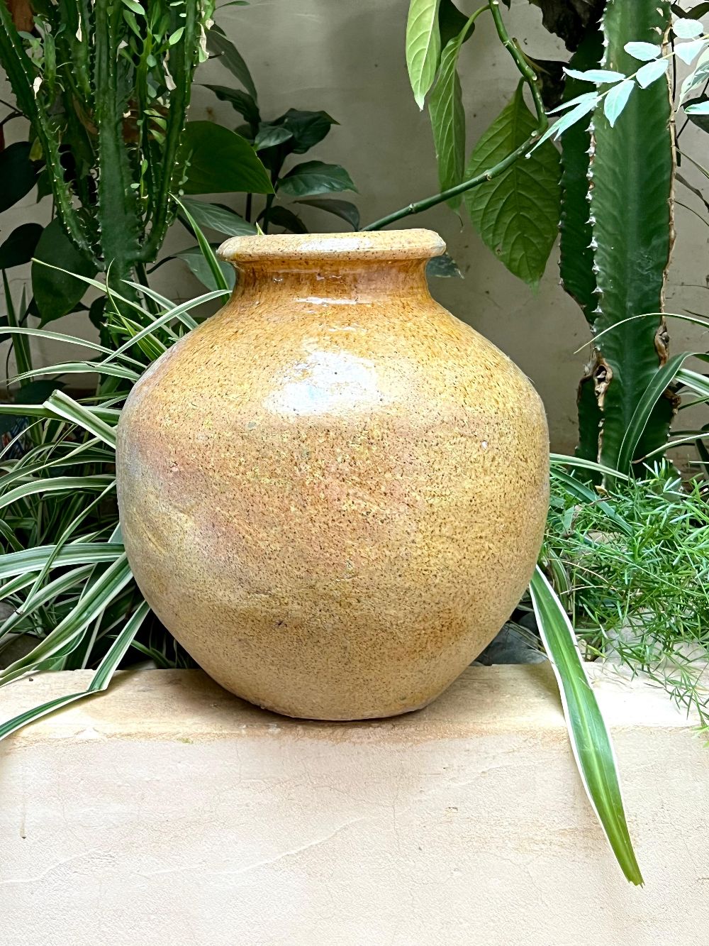 Tamegroute Jar