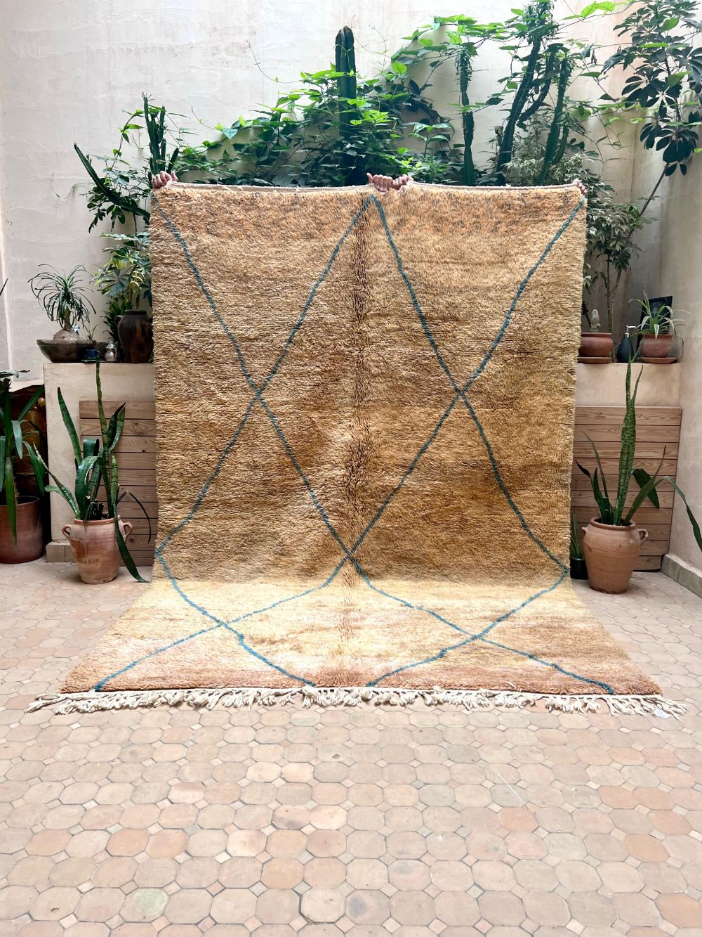 Moroccan Saghira Rug 310x210cm
