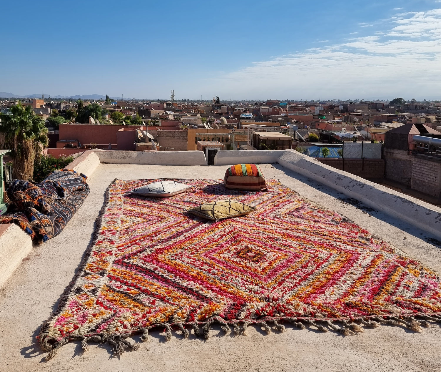 Collector's Rugs