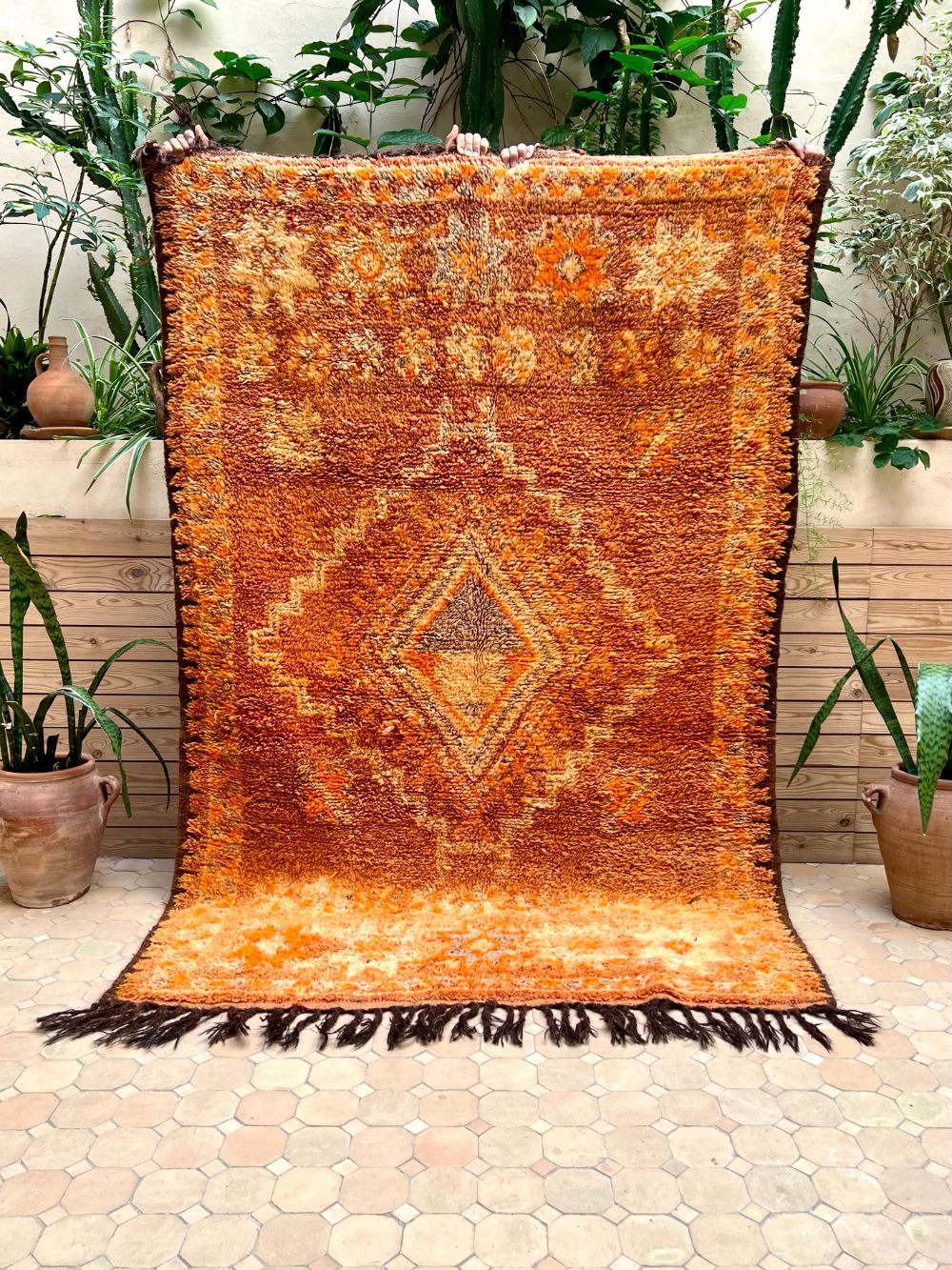 Customer carpet photo